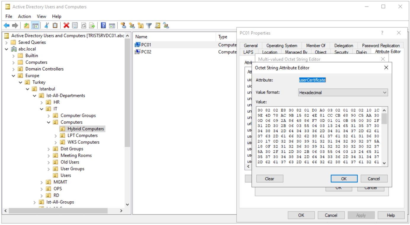 userCertificate Attribute'unun Hexadecimal içeriği